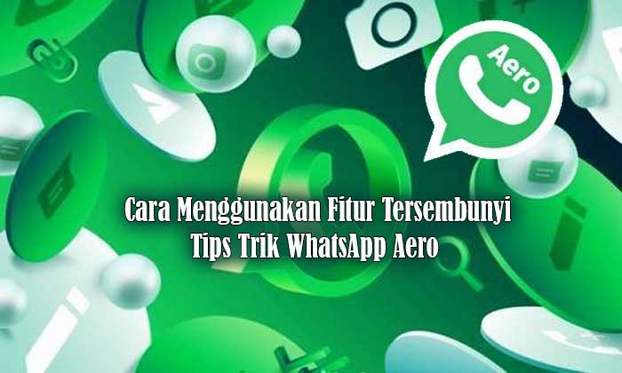 aplikasi whatsapp aero