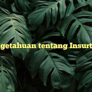 Pengetahuan tentang Insurtech