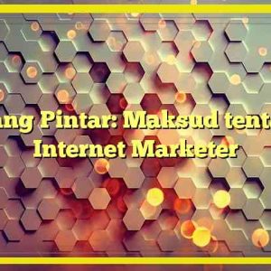 Ruang Pintar: Maksud tentang Internet Marketer